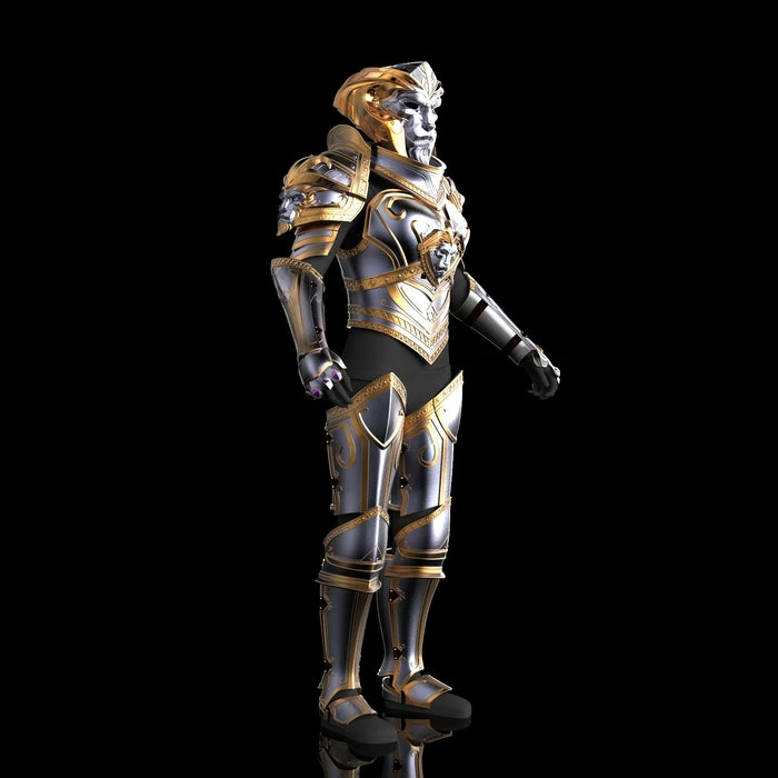 Nikko Industries Female Anduin Wrynn Stl 4 Nikko Industries Female Anduin Wrynn Stl - Image 4